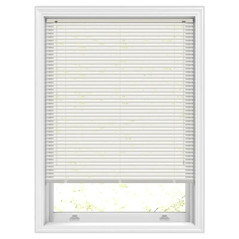 Vista 1